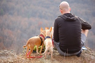 Wypadają ci włosy? - sprawdź, jaki mają na to wpływ hormony! Ważny jest też stres!