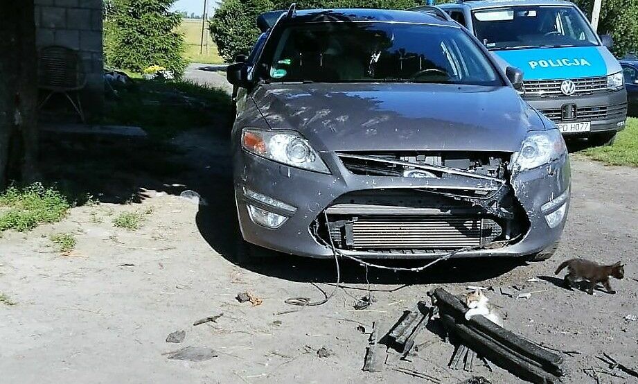 Tak wygląda ford po ataku psów fot. KPP Hrubieszów