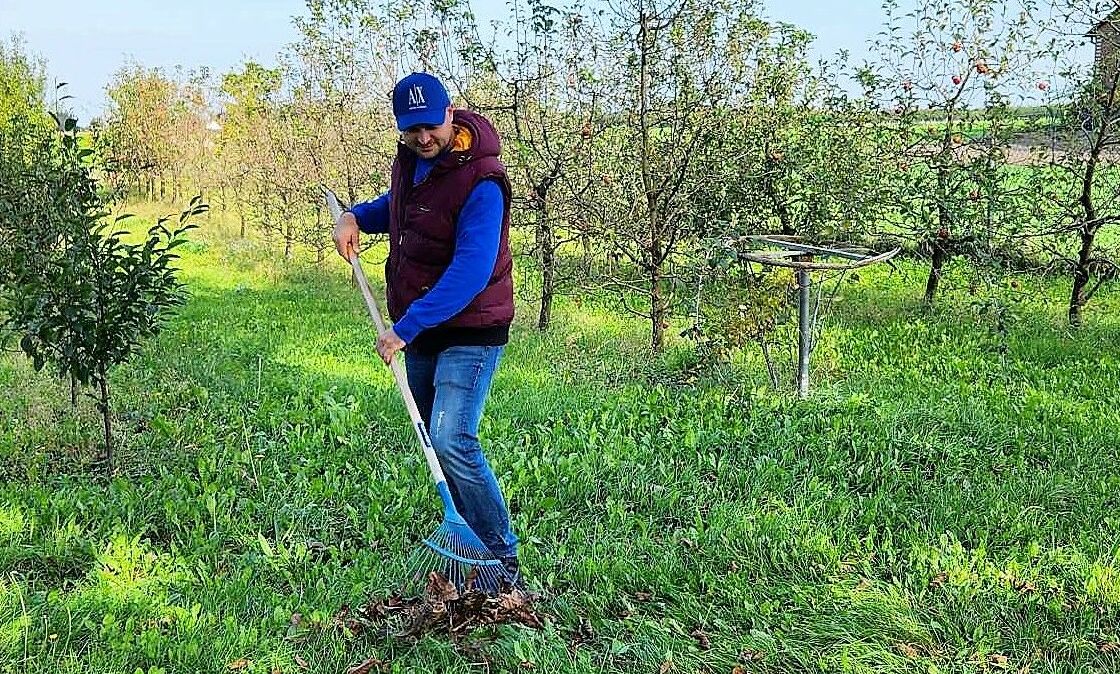 Ekspert od ogrodów zaleca zgrabienie przed zimą liści z trawnika