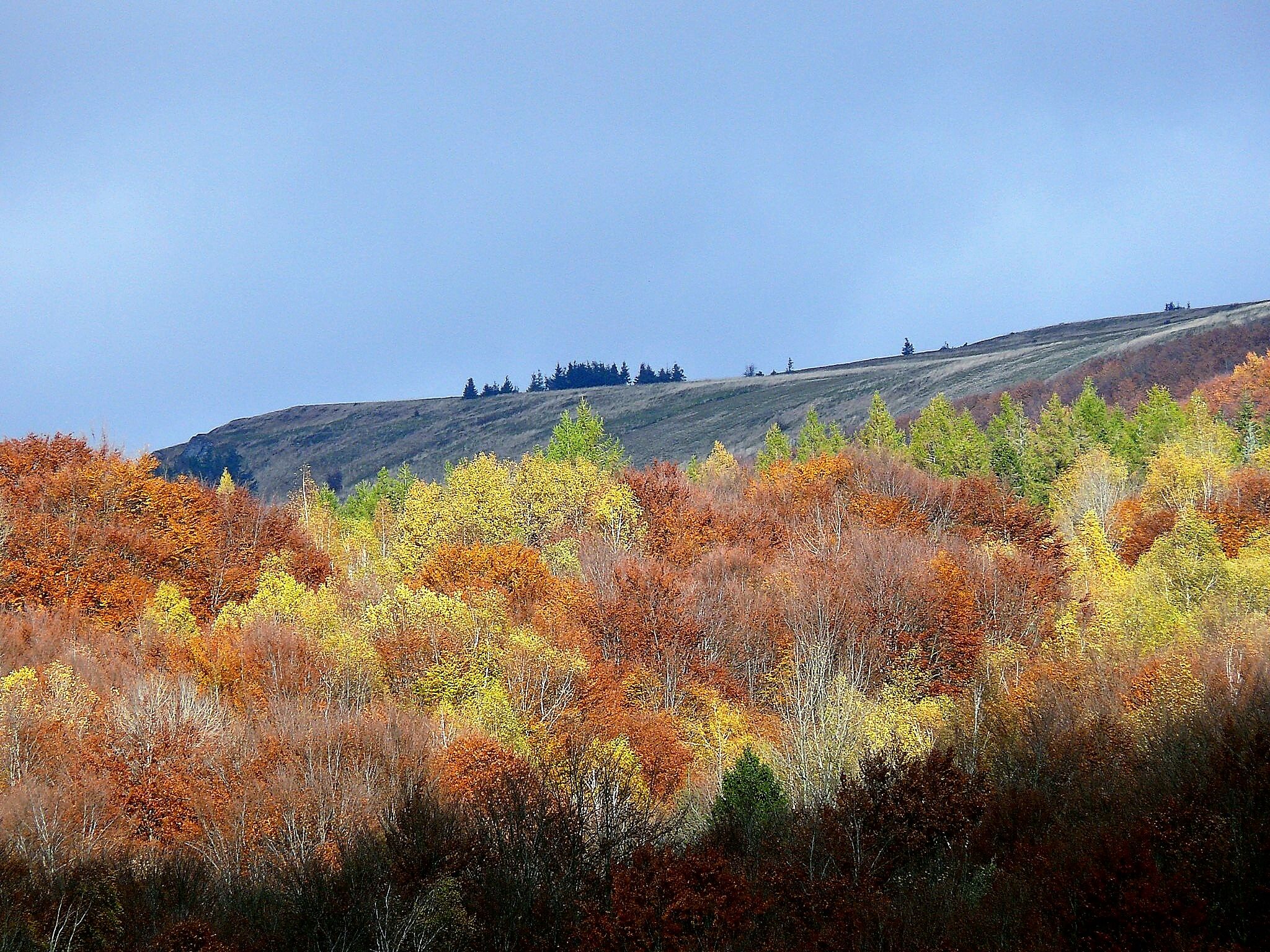 Bieszczady są piękne zwłaszcza jesienią  fot. MP