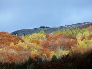 Bieszczady nie są dla narzekaczy i nie lubią maruderów