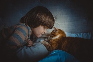Jak koty troszczą się o dzieci?