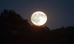 Dziś na niebie największy od lat Księżyc!