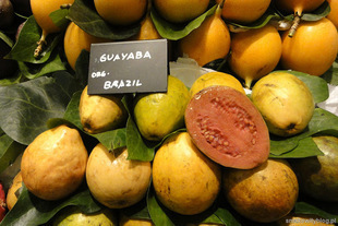 Gujawa - mało znany, zdrowy owoc