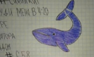 Niebieski wieloryb - gra, która zabija, dotarł już do Polski