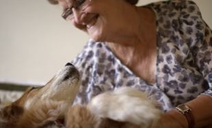 Max - pies, który rozpoznał u swojej właścicielki raka