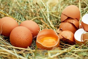 O jajkach bez ściemy