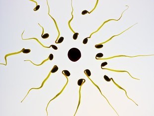 6 zaskakujących dobrodziejstw płynących ze spermy