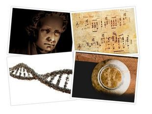 Muzyka w DNA. Beethoven zakodowany w genomie drożdży