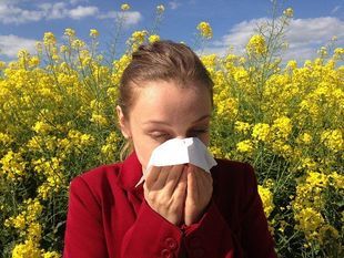 10 przykazań alergika