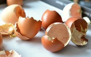 Zrób domowy suplement diety ze skorupek od jajek!