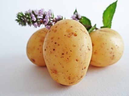 Ziemniaki nie tylko do jedzenia. Osiem sposobów wykorzystania ich poza kuchnią