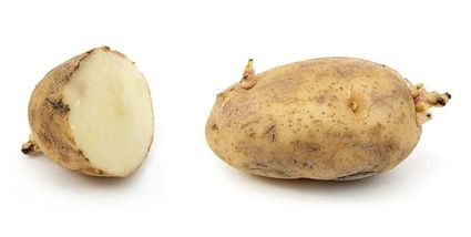  Czy kiełki ziemniaków są bezpieczne do spożycia?