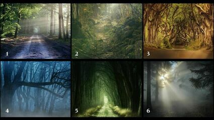 Wybierz las, do którego bałabyś się wejść. Ten test dużo powie o twoich ukrytych lękach