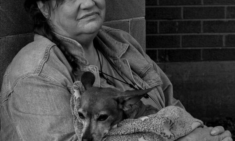 Obraz  Free-Photos z  Pixabay