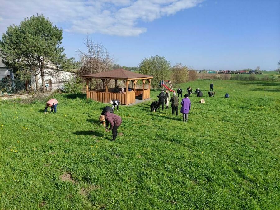 
                                                    Uczestnicy zbierają zioła
                                                