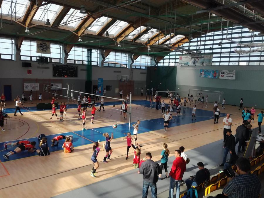 
                                                       Świętokrzyskie Minivolley Cup 2019: Zabawa i poważna gra w minisiatkówkę na hali w Skarżysku-Kamiennej
                                                