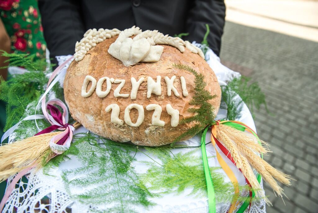 
                                                    DOŻYNKI GMINNE 2024
                                                