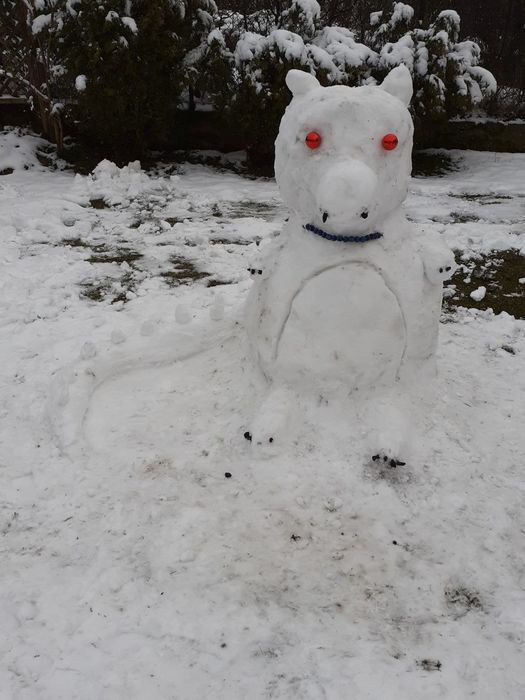 
                                                    Podsumowanie Konkursu na „Najpiękniejszą Figurę Śniegową”
                                                