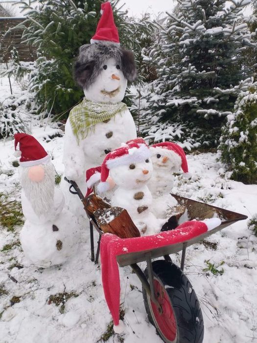 
                                                    Podsumowanie Konkursu na „Najpiękniejszą Figurę Śniegową”
                                                