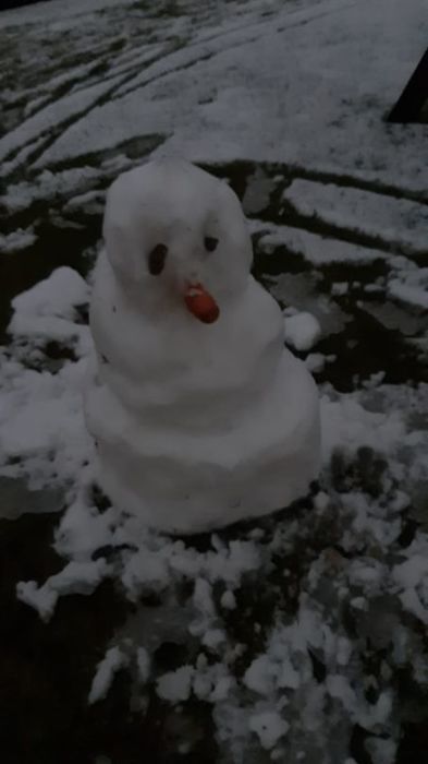 
                                                    Podsumowanie Konkursu na „Najpiękniejszą Figurę Śniegową”
                                                