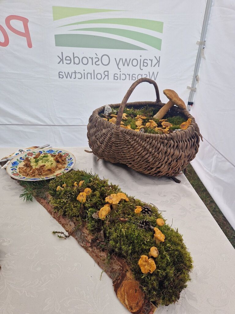 
                                                       I miejsce w konkursie kulinarnym 