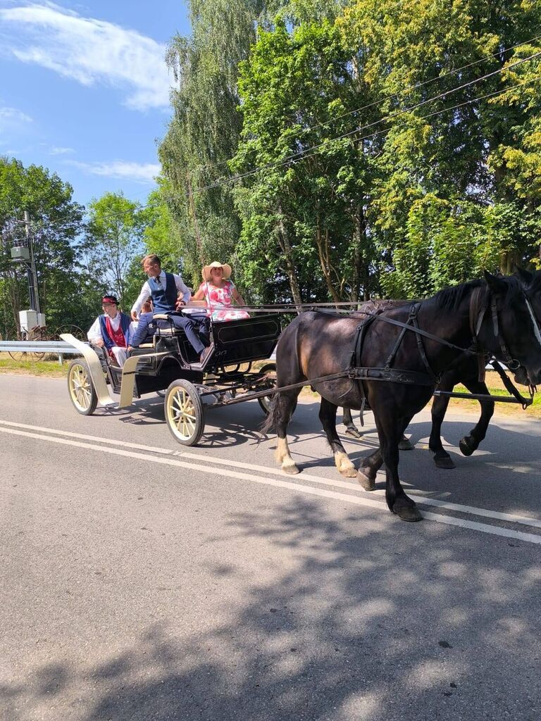 
                                                       🌾✨ Dożynki Gminno-Parafialne w Piechowicach ✨🌾
                                                