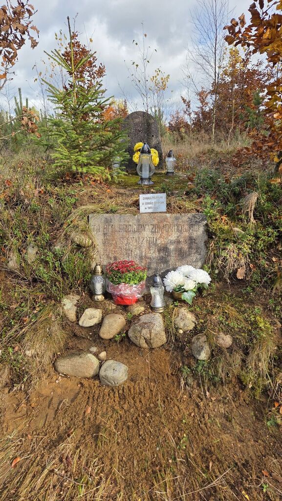 
                                                       Pamiętamy o mogiłach.
                                                