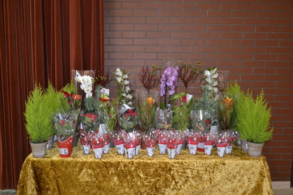 
                                                       Bal Emeryta 26.11.2025 r.
                                                