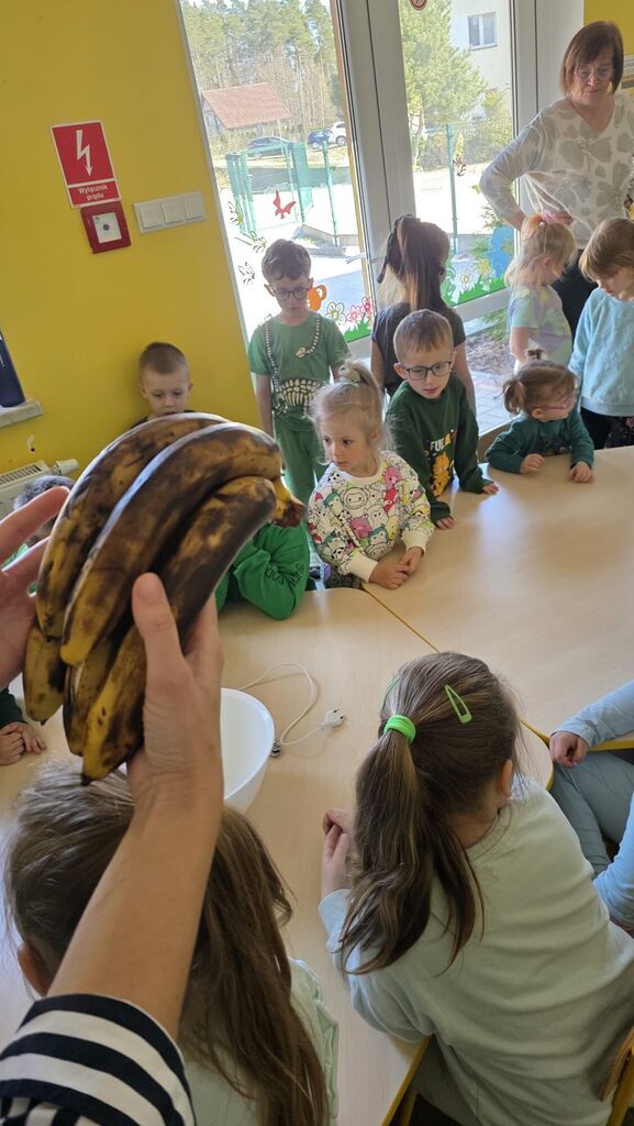 
                                                       Dzień Ziemi w kaliskim przedszkolu
                                                