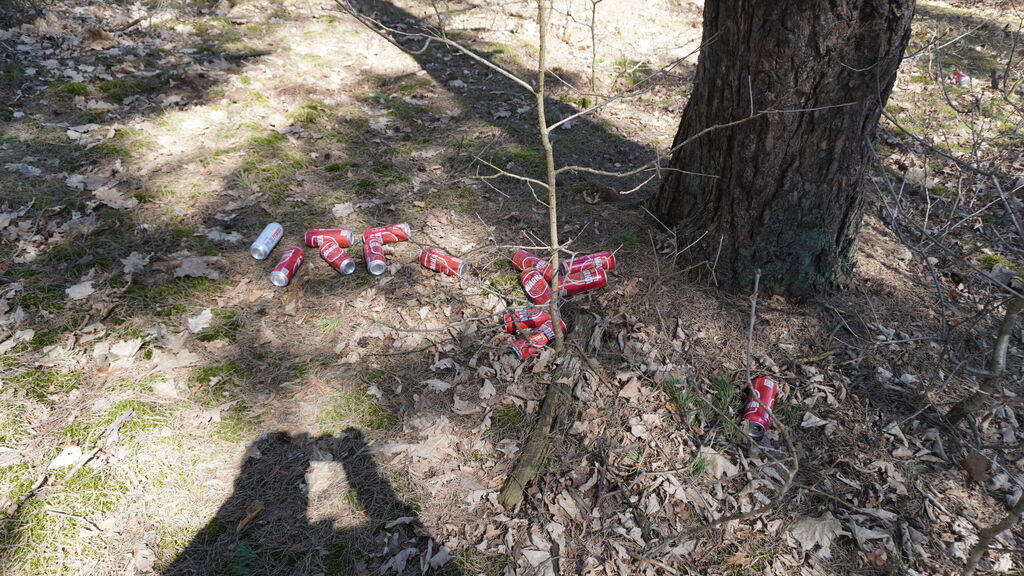 
                                                       II edycja wspólnego sprzątania Gminy Dziemiany
                                                