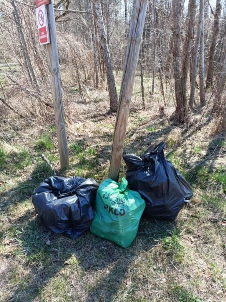 
                                                       II edycja wspólnego sprzątania Gminy Dziemiany
                                                