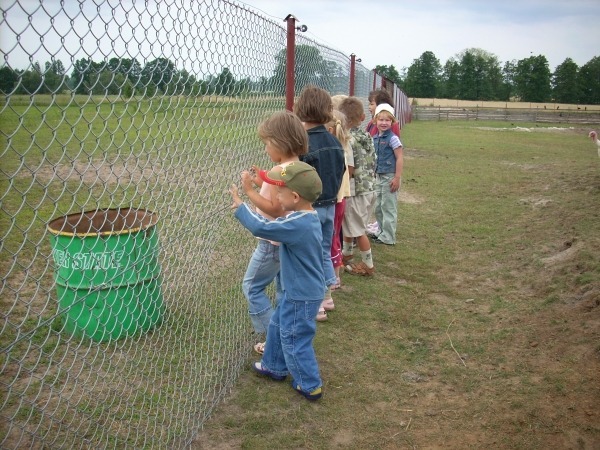 
                                                       Klub Przedszkolaka - Wola Przybysławska - 2006.06.26
                                                