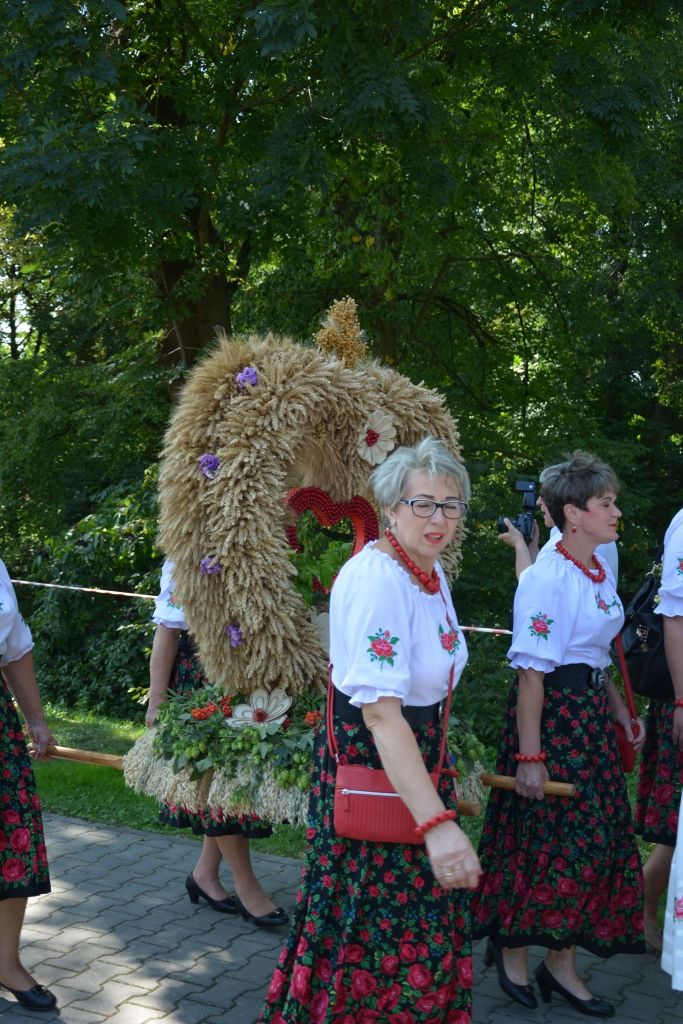 
                                                       Dożynki 2019
                                                