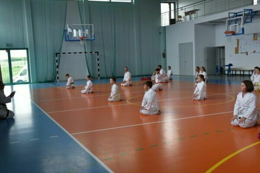 
                                                    Pokaz Karate
                                                