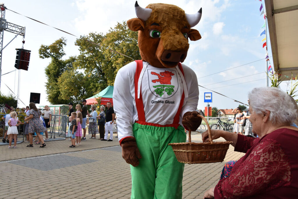 
                                                    Święto Chleba Gmina Głusk
                                                