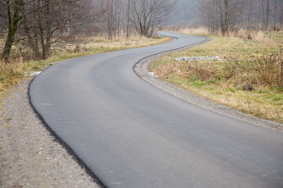 Droga pomiędzy Zalesiem a Wolą Niemiecką