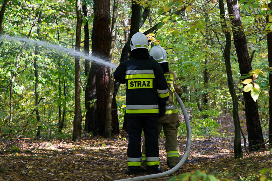 Strażacy podczas ćwiczeń