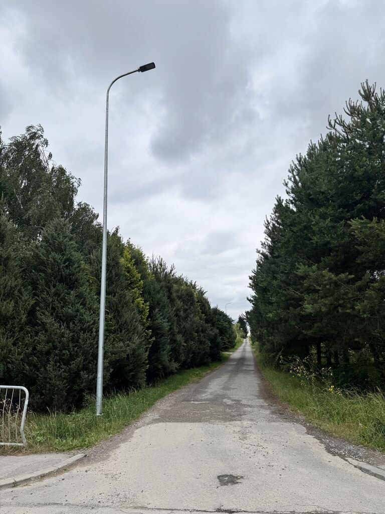 Oświetlenie drogi gminnej nr 106066L