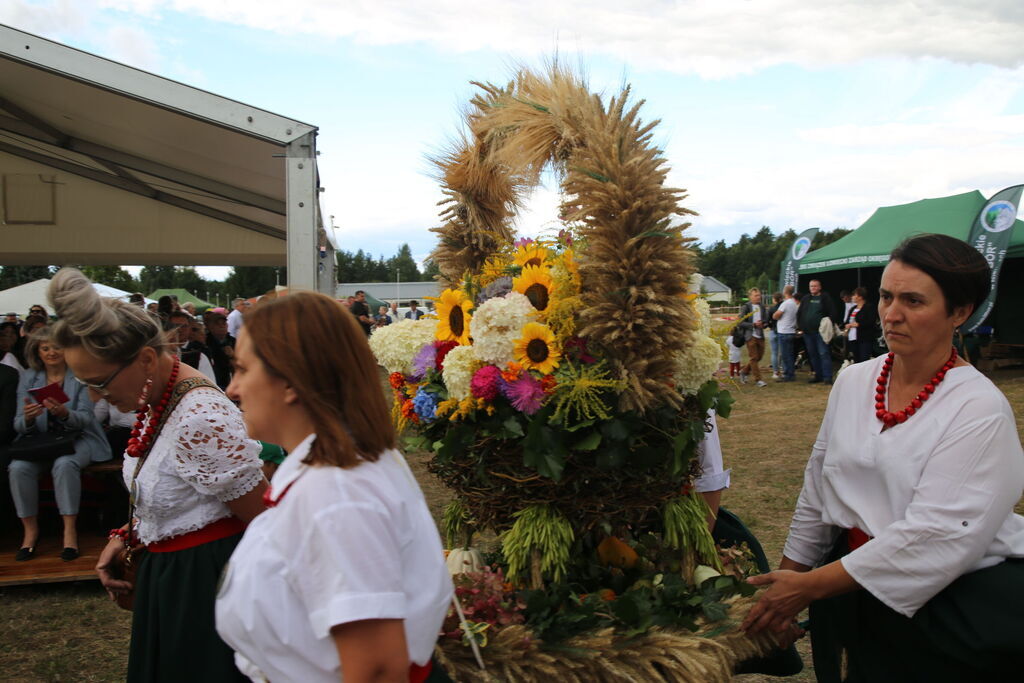 Dożynki Gminy Niemce 2025 - korowód wieńców