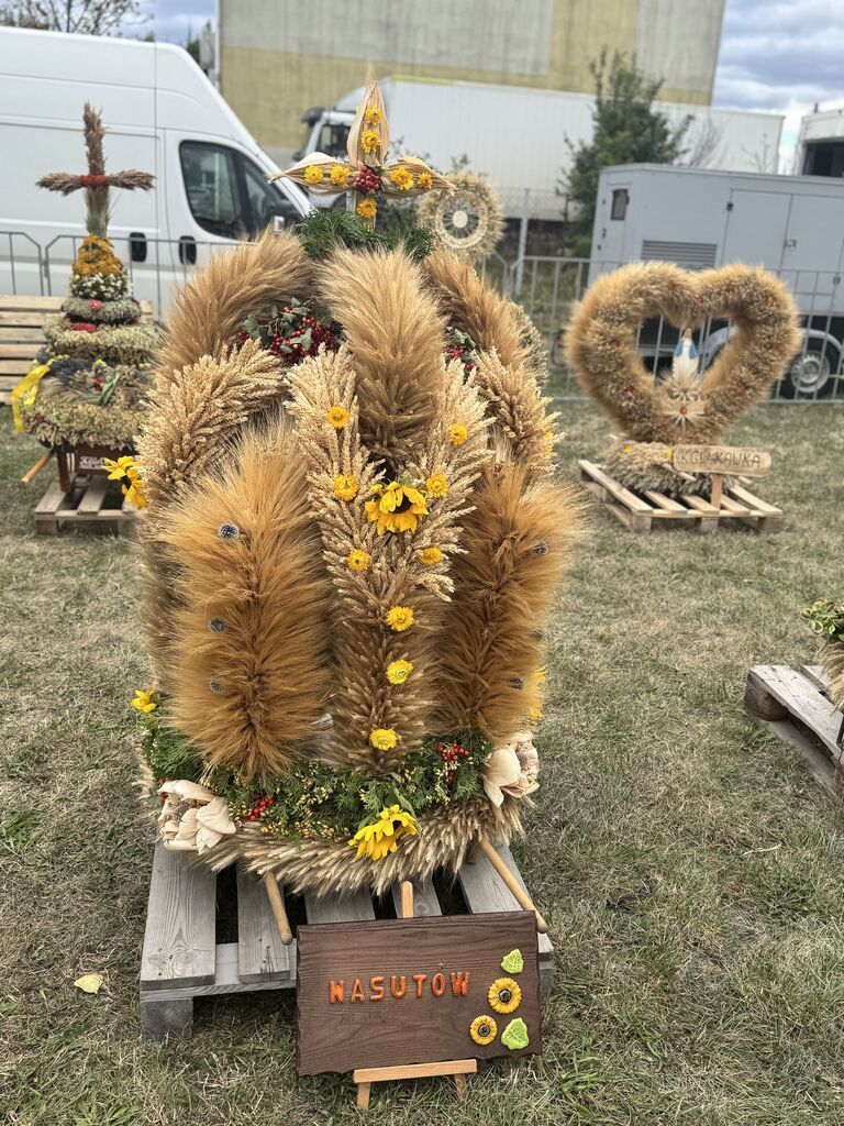 Dożynki Gminy Niemce 2025 - korowód wieńców