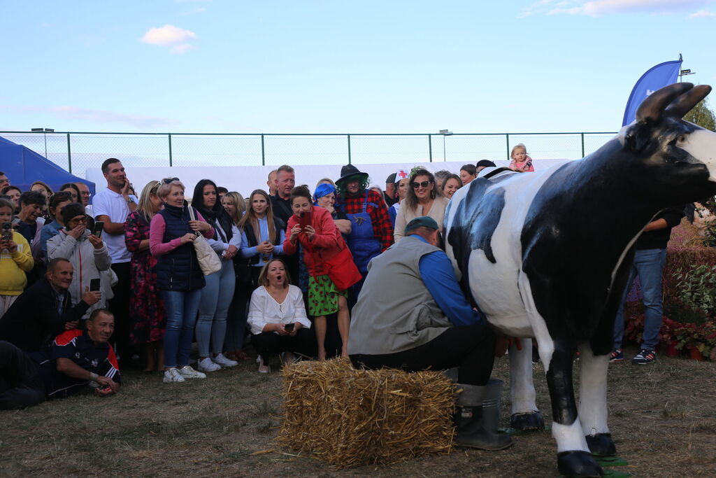 Dożynki Gminy Niemce 2025