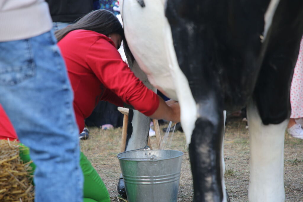 Dożynki Gminy Niemce 2025