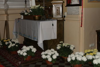 Chryzantemy w kościele