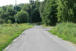Droga gminna nr 106099L w Pliszczynie