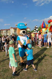 Piknik Ekologiczny oraz Integracyjny Piknik Sołecki na os. Borek