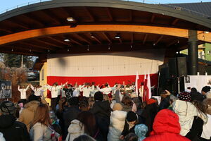 Koncert i Piknik Patriotyczny „Niepodległa w Sercu” w Gminie Wólka – 11 listopada 2024 r.