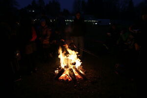 Koncert i Piknik Patriotyczny „Niepodległa w Sercu” w Gminie Wólka – 11 listopada 2024 r.