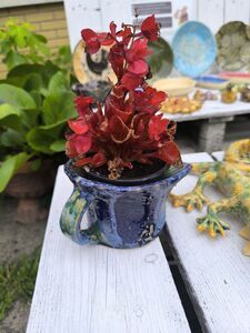 Warsztaty garncarskie w Gminie Wólka – tradycja, pasja i nowe umiejętności