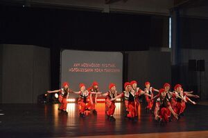 Wólka’n z kolejnymi sukcesami podczas XXVI Wojewódzkiego Festiwalu Współczesnych Form Tanecznych w Puławach